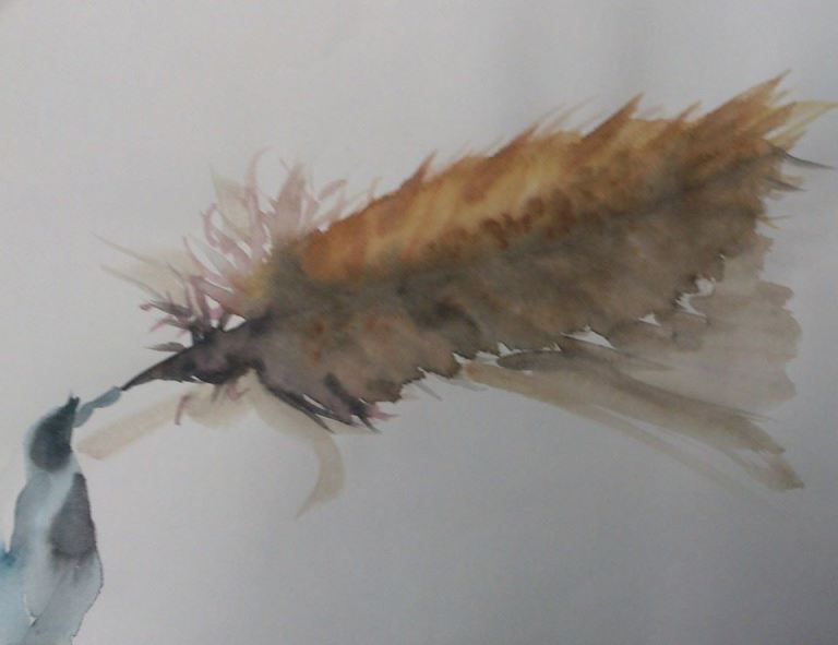 still life feather search for abstraction four versions aquarel